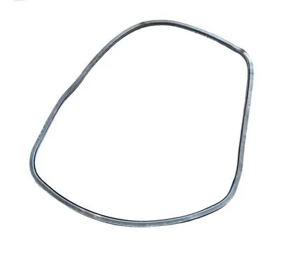 Ford Edge II Front door rubber seal