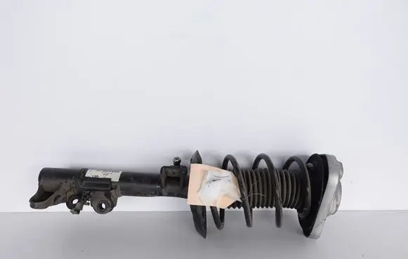 Mercedes-Benz CLS C218 X218 Front shock absorber with coil spring A2183208813