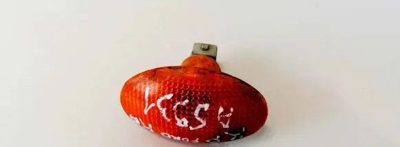 Front fender indicator light