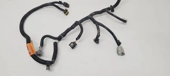 Ligier JS 50 Wiring harness 