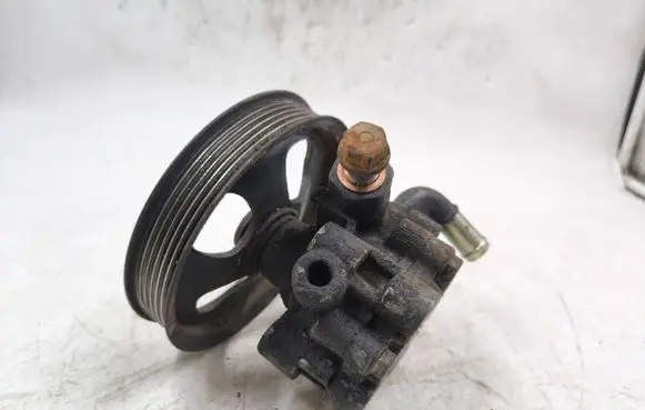 Cadillac CTS Power steering pump 25756609 B3A60698