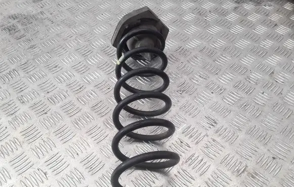 Renault Megane III Rear coil spring 552400003R