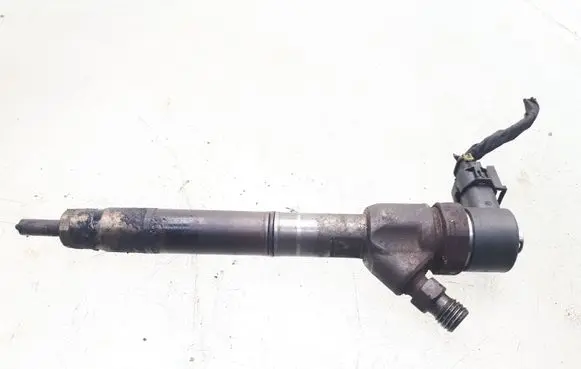 Hyundai i30 Fuel injector 338002A400 0445110256