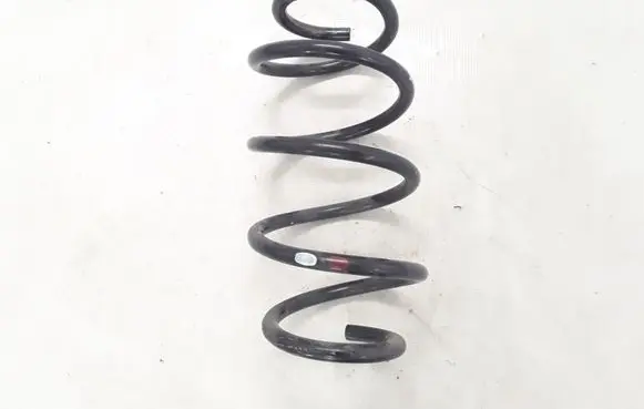 Renault Koleos II Front coil spring 540105HA1B