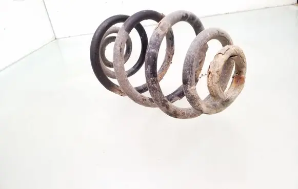 Rear coil spring