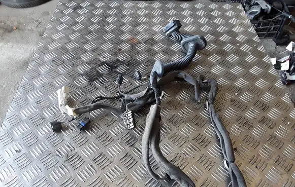 Renault Scenic III - Grand scenic III Front door wiring loom 241259931R