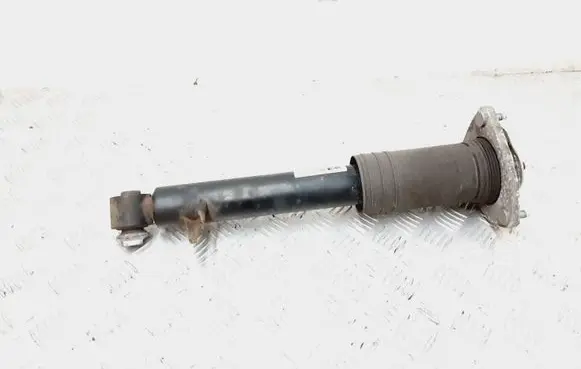 BMW X5 E70 Rear shock absorber/damper 6781925