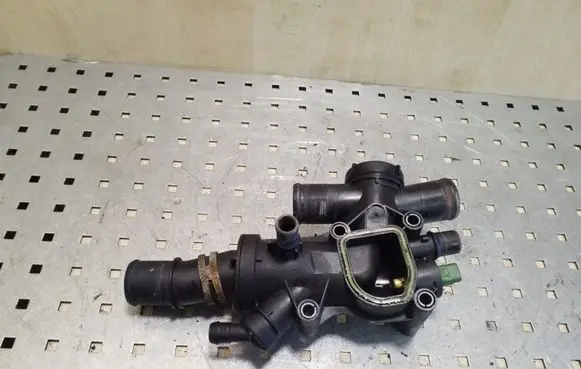 Thermostat/thermostat housing