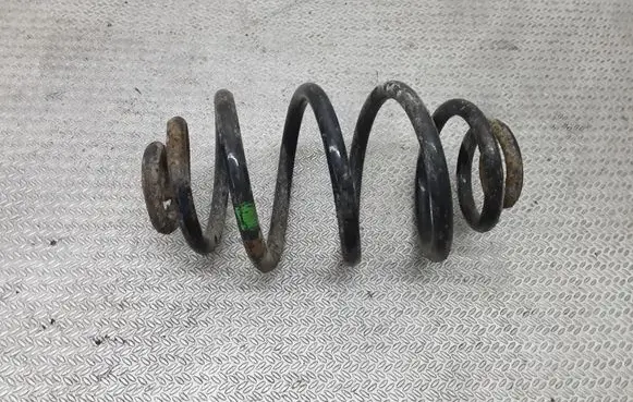 Volkswagen PASSAT B5.5 Rear coil spring