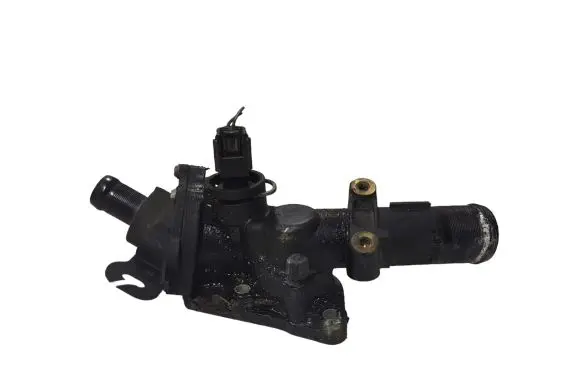 Thermostat/thermostat housing