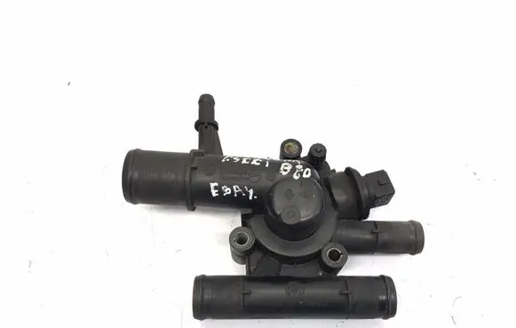 Thermostat/thermostat housing