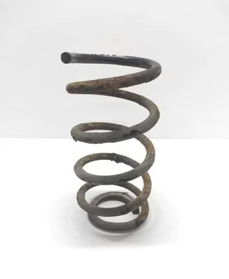 Hyundai Santa Fe Rear coil spring