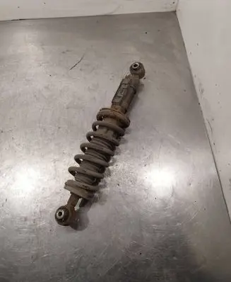 Citroen C5 Rear shock absorber with coil spring 