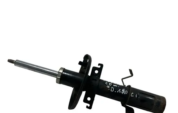 Renault Megane III Front shock absorber/damper 543020008R 03071009432