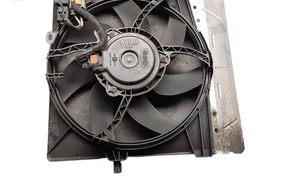 Citroen C3 Electric radiator cooling fan M143131 AD1264 FC1057