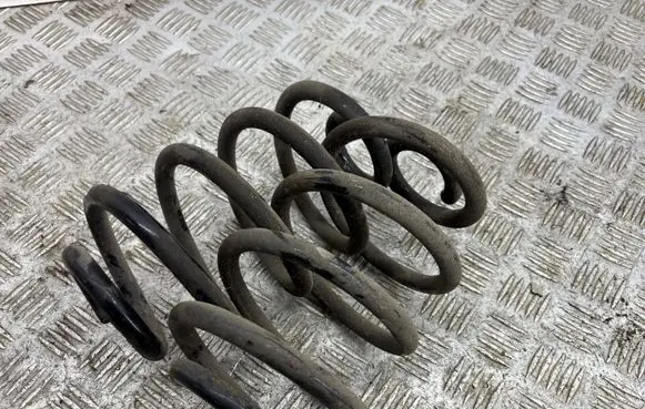 Nissan Leaf II (ZE1) Rear coil spring