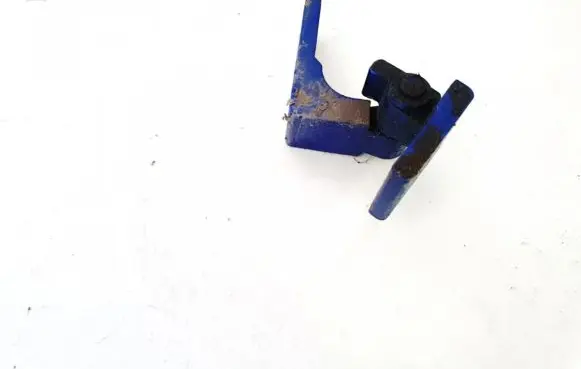 Fiat Punto (188) Rear door lower hinge