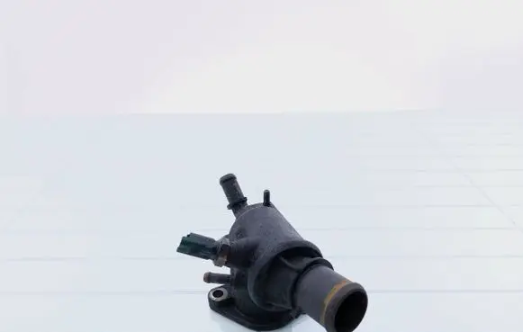 Thermostat/thermostat housing