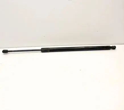 Ford Kuga III Tailgate/trunk strut/damper LJ6BS406A11AC