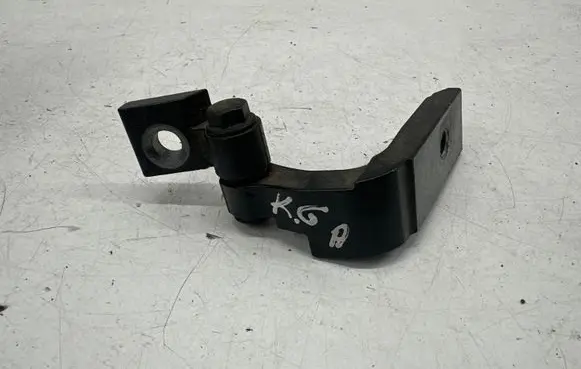 BMW iX3 G08 Rear door lower hinge