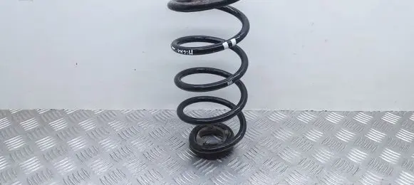 Rear coil spring