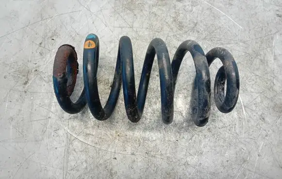 Rear coil spring