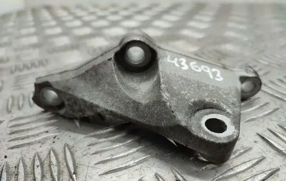 Mini Cooper Countryman R60 Fuel pump bracket 781069801