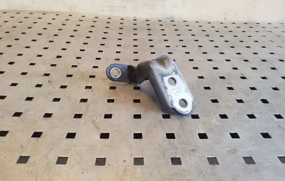 KIA Sportage Rear door lower hinge