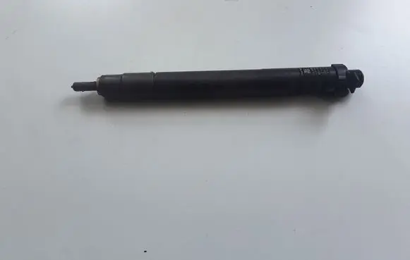 Ford Galaxy Fuel injector 9686191080