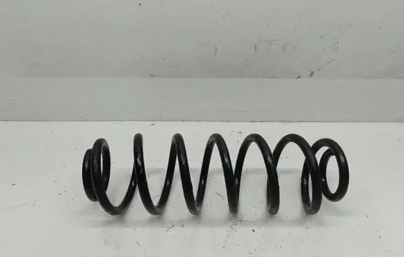 Volkswagen Jetta V Rear coil spring