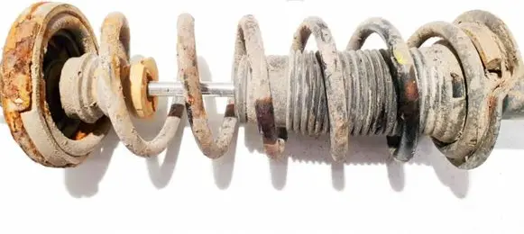 Honda Accord Rear coil spring