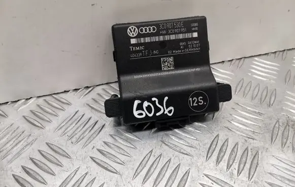 Volkswagen PASSAT B6 Gateway control module 3C0907530E 3C0907951