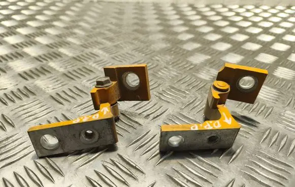 Fiat Doblo Front door hinge set 