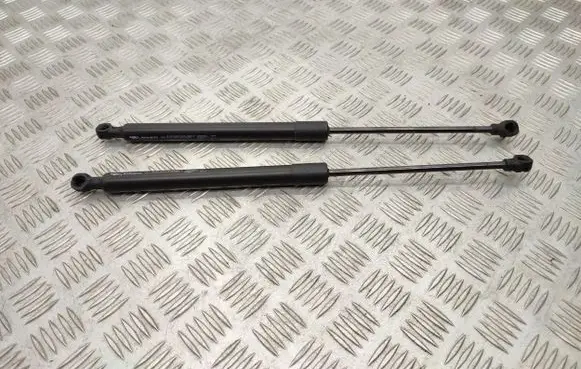 Renault Zoe Tailgate/trunk strut/damper 904502915R