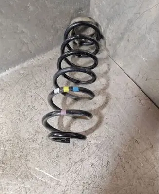 Rear coil spring