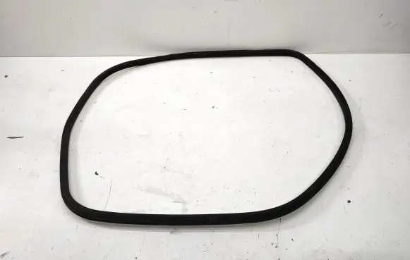 BMW 7 E65 E66 Front door rubber seal 