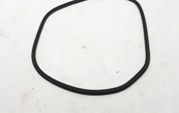 Rear door rubber seal (on body)