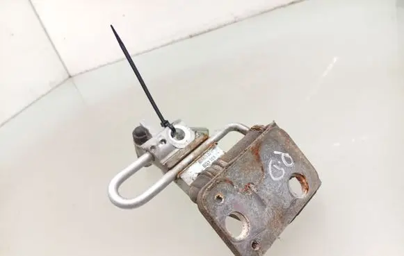 Volkswagen PASSAT B7 Front door hinge set