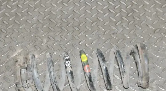 Rear coil spring