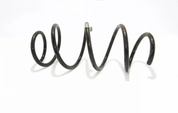 Front coil spring