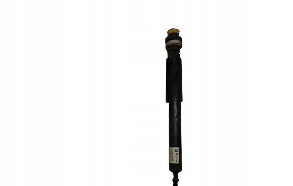 BMW X1 E84 Rear shock absorber/damper 6793714