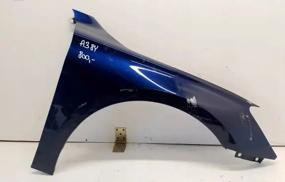 Audi A3 8Y Fender