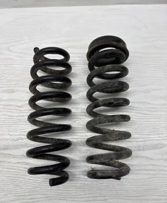 Rear coil spring