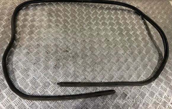 Nissan Qashqai Front door rubber seal 