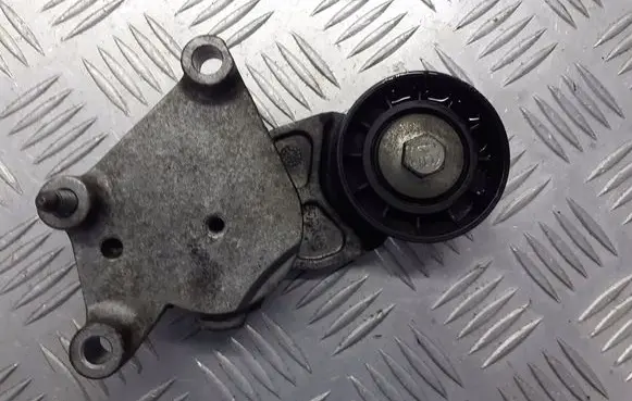 Peugeot 207 Alternator belt tensioner pulley TF049F