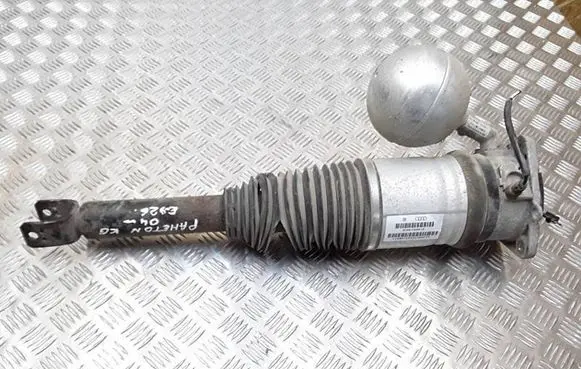 Volkswagen Phaeton Rear shock absorber/damper 3D0616001K