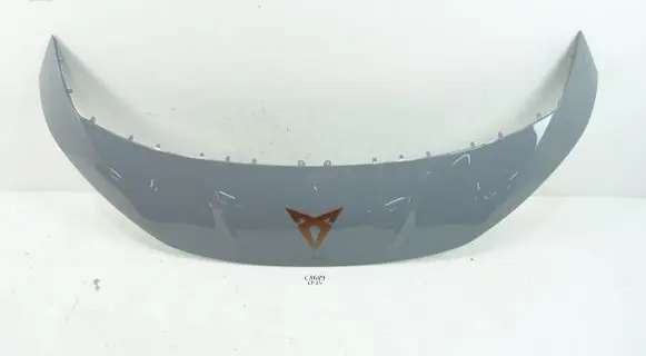 Cupra Born Front bumper splitter molding 10E806333