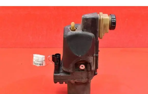 Renault Laguna III Power steering pump 491109313R