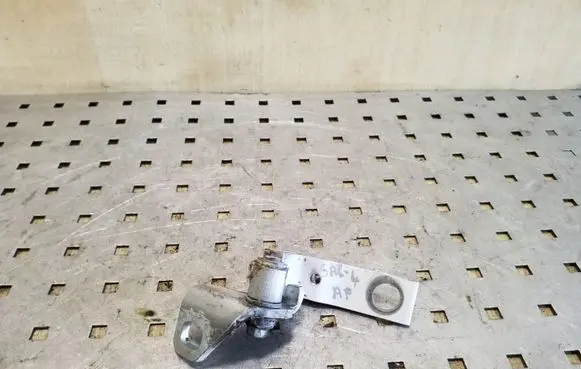 Ford Focus Rear door lower hinge