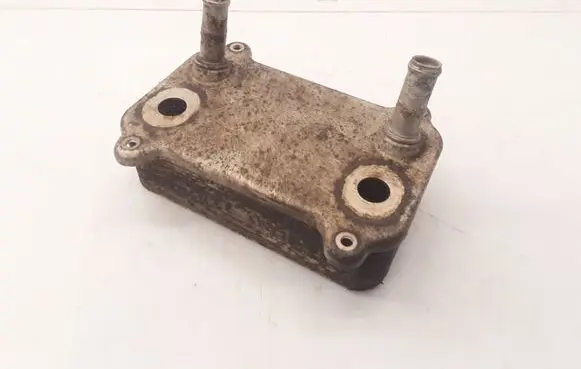 Porsche Cayenne (9PA) Engine oil radiator 6819130 05090123788